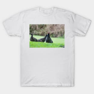 ring necked pheasant 3 +3 T-Shirt